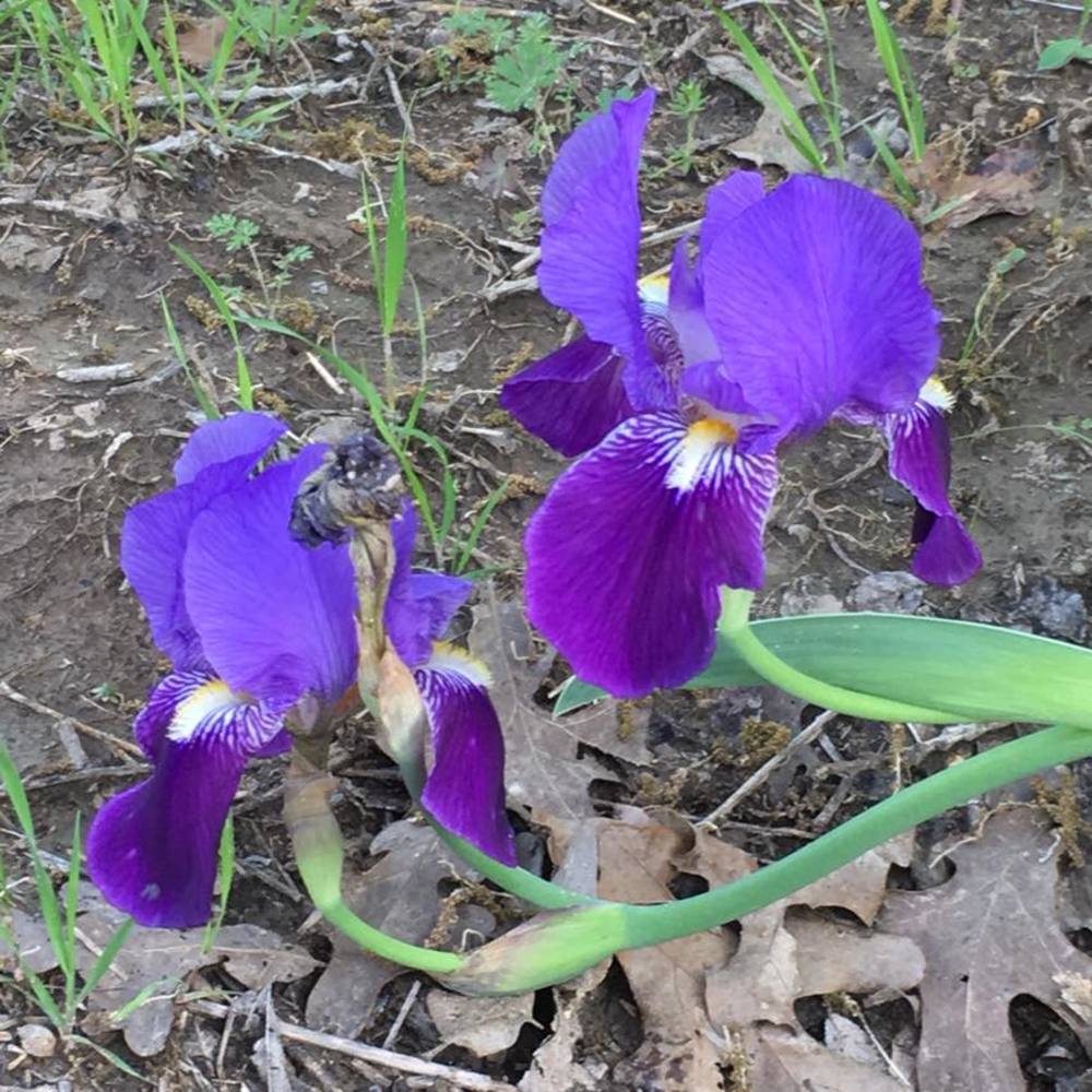 Meet your Posher, Meredith